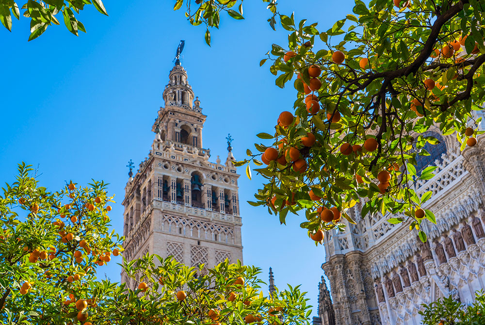 Learn Spanish easily in Seville in 2021. Seville is unique. It's the heart of Andalucía and is known and admired throughout the world.
