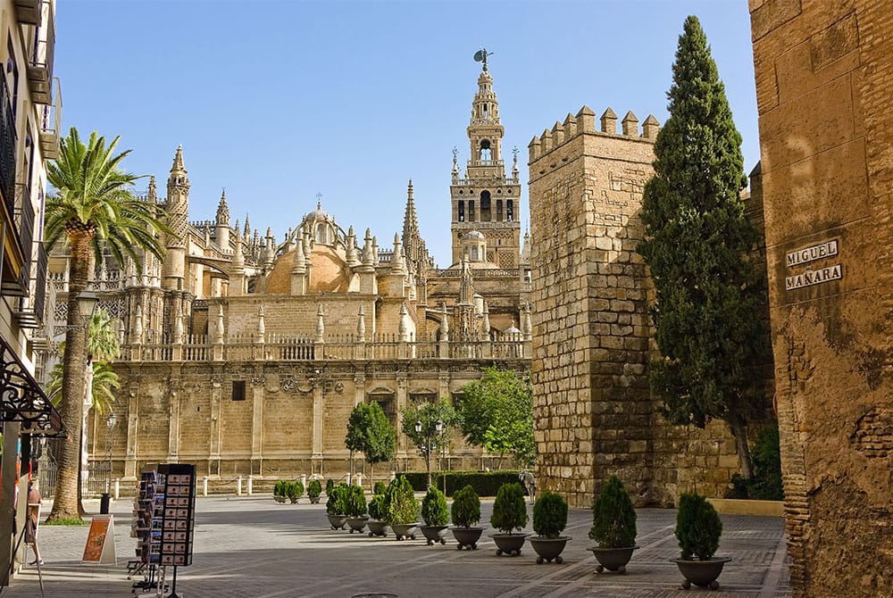 Spanish language School in Seville. Since 2008, Maus School has specialised exclusively in teaching Spanish.