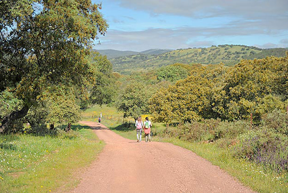 Qué hacer en Sevilla, escursión a la Sierra de Aracena