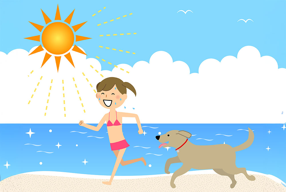 Disfruta del calor del verano en España guia para visitantes